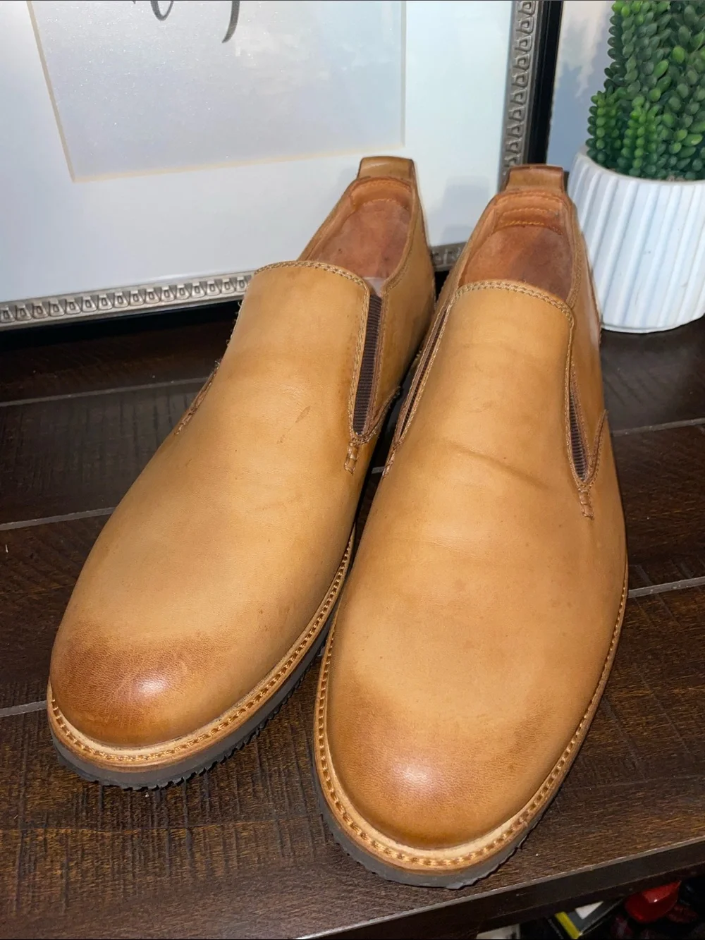 Tommy Bahama tommy bahama